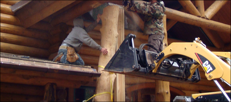Log Home Log Replacement  Albany, Ohio